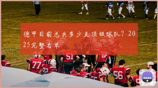 德甲目前总共多少支顶级球队?2025完整名单